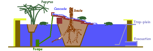 Construction d'un bassin hors-sol pour tortues